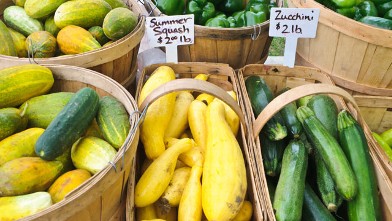 PHOTO: Squash