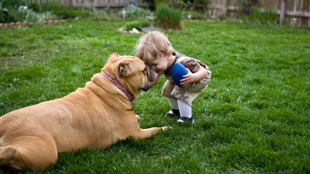PHOTO: A new study found dogs and cats may offer protection against respiratory illnesses in the first year of life.