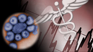 Photo: The Facts Versus the Truth about Swine Flu: Swine Flu Will Test Health Care, Bedevil Economy