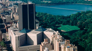 Mount Sinai School of Medicine