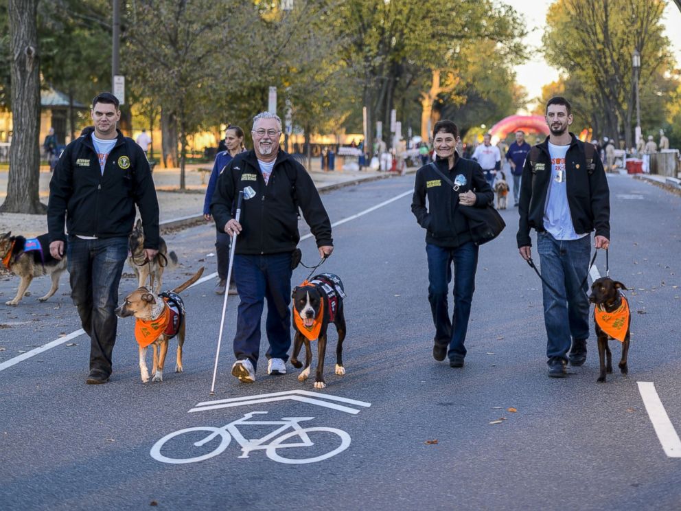PHOTO: A&Es Dogs Of War 2K-9 Race honoring veterans and celebrating their canine companions, Oct. 26, 2014 in Washington. 