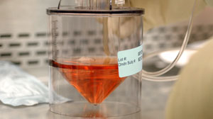 Cancer Vaccine Approved, but Worth the Cost? Provenge Adds Four Months to Life at 100K a Pop