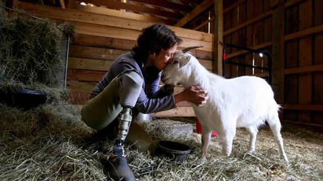 PHOTO: Albie the goat had to have his leg amputated, just like his rescuer Jenny Brown.