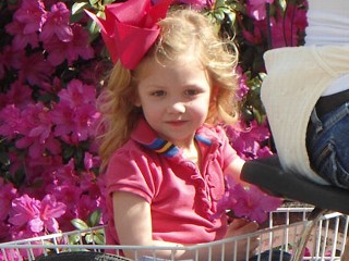 Tot, Virtually Brain Dead, Is Now a Pageant Princess