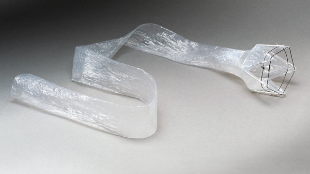 PHOTO: The EndoBarrier weight loss device is about to start FDA trials.