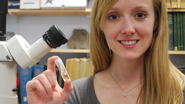 PHOTO: Erin Saupe and brown recluse spider