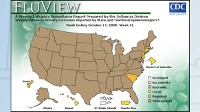 PHOTO According to the CDC?s map of flu activity, 46 states are currently reporting widespread H1N1 flu activity.