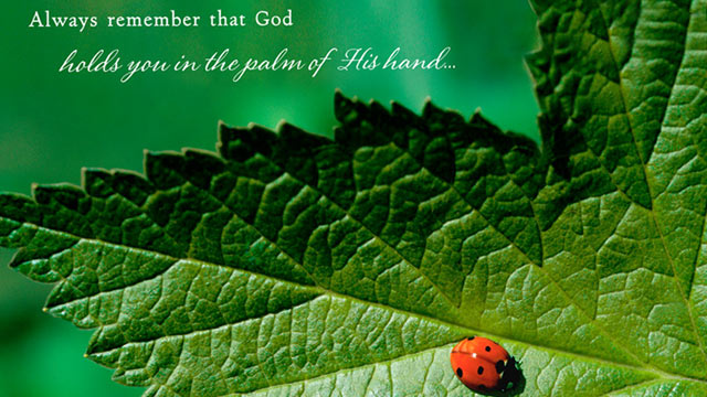PHOTO: Hallmark greeting card reads, "Always remember that God holds you in the palm of His hand..."