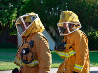 Two Attacked by Swarm of Bees