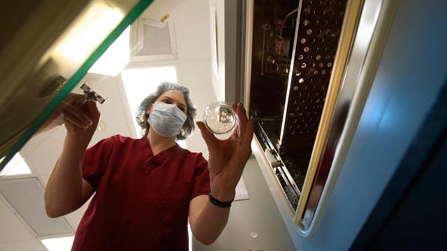PHOTO: A U.S. fertility clinic welcomes foreign women who wish to choose their babys gender.