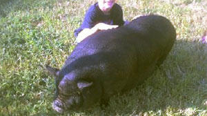 Photo: Autistic Boy Devastated After City Bans Pet Pig: Family Says Pot Bellied Pig Helped Anthony Pia Function with Autism