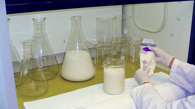 PHOTO: Milk bank lab assistant prepares human breast milk