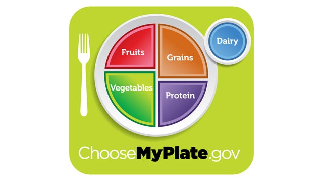 PHOTO: USDA unveils the new food icon, MyPlate, a simple reminder for healthy eating.