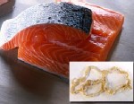 Photo: salmon tapeworm
