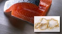 Photo: salmon tapeworm