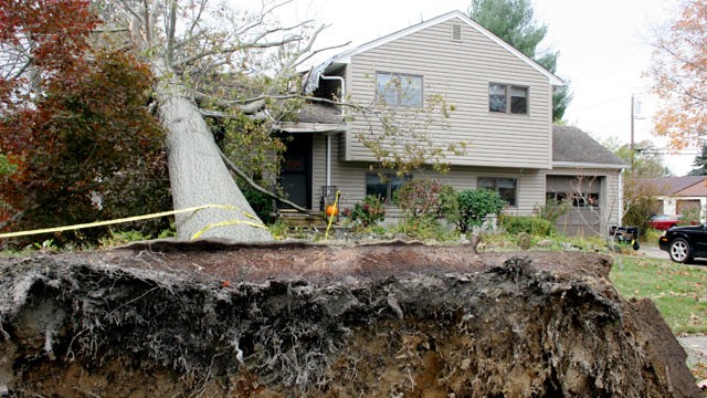 PHOTO: This 70-foot,10-ton tree smashed through a home in Allentown, N.J., during Superstorm Sandy, nearly killing its resident.