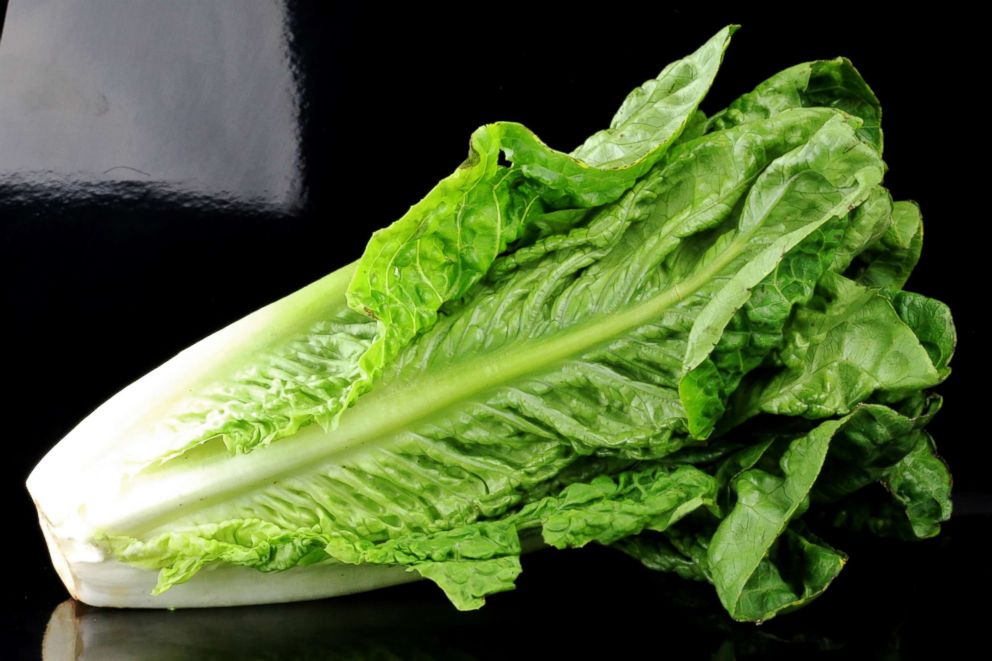 PHOTO: Romaine lettuce.