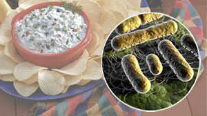 Photo: Salmonella Contamination of Artificial Flavor Leads to FDA Recall