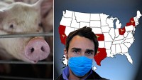 swine flu