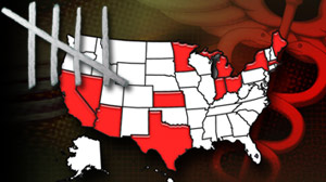Swine flu numbers