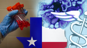 swine texas