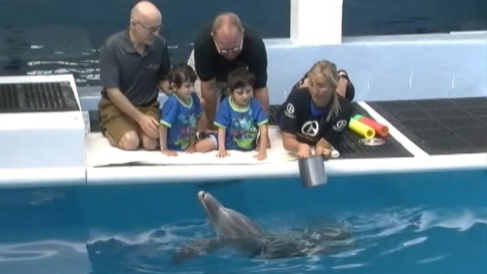 The 4-year-old boys prosthetic legs and Winters prosthetic tail were made by the same team.
