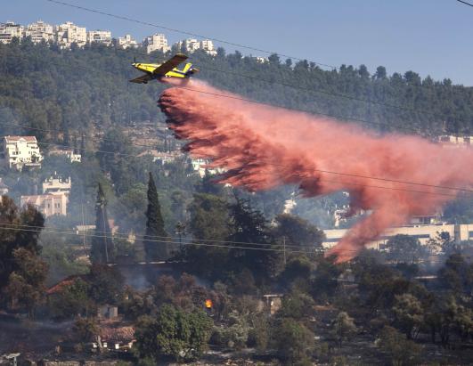 Today in Pictures: June 26, 2012