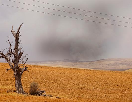 Bushfires in Australia Leave Path of Destruction