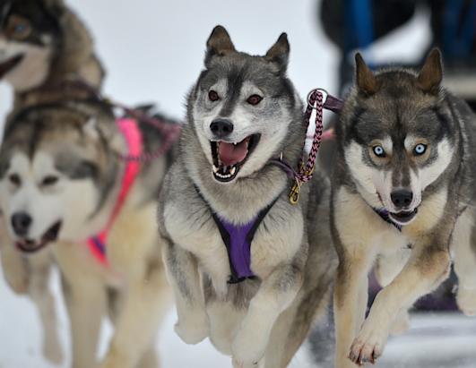 Today in Pictures: Jan. 23, 2013