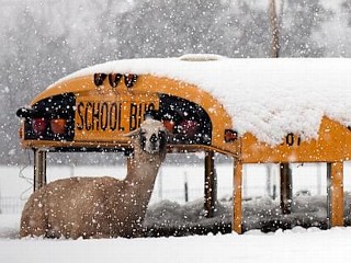 Photos: Today in Pictures: March 7, 2013