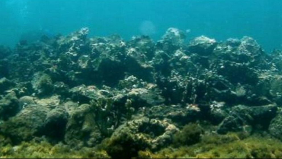 PHOTO: Experts believe theyve located Christopher Columbus flagship, the Santa Maria, off the coast of Haiti.