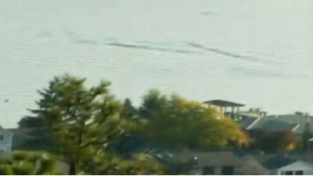 VIDEO: Sighting at a lake in British Columbia is stirring up talk of sea creatures.
