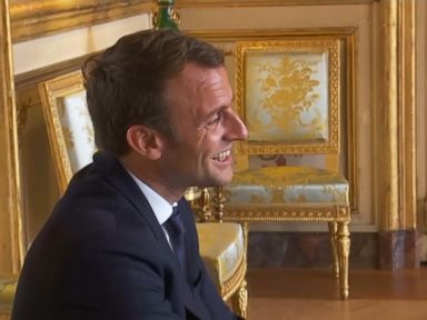 WATCH: French president's dog relieves himself on Elysee Palace fireplace