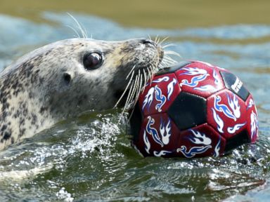 Photos: This Week in Pictures: Top Photos from Around the Globe