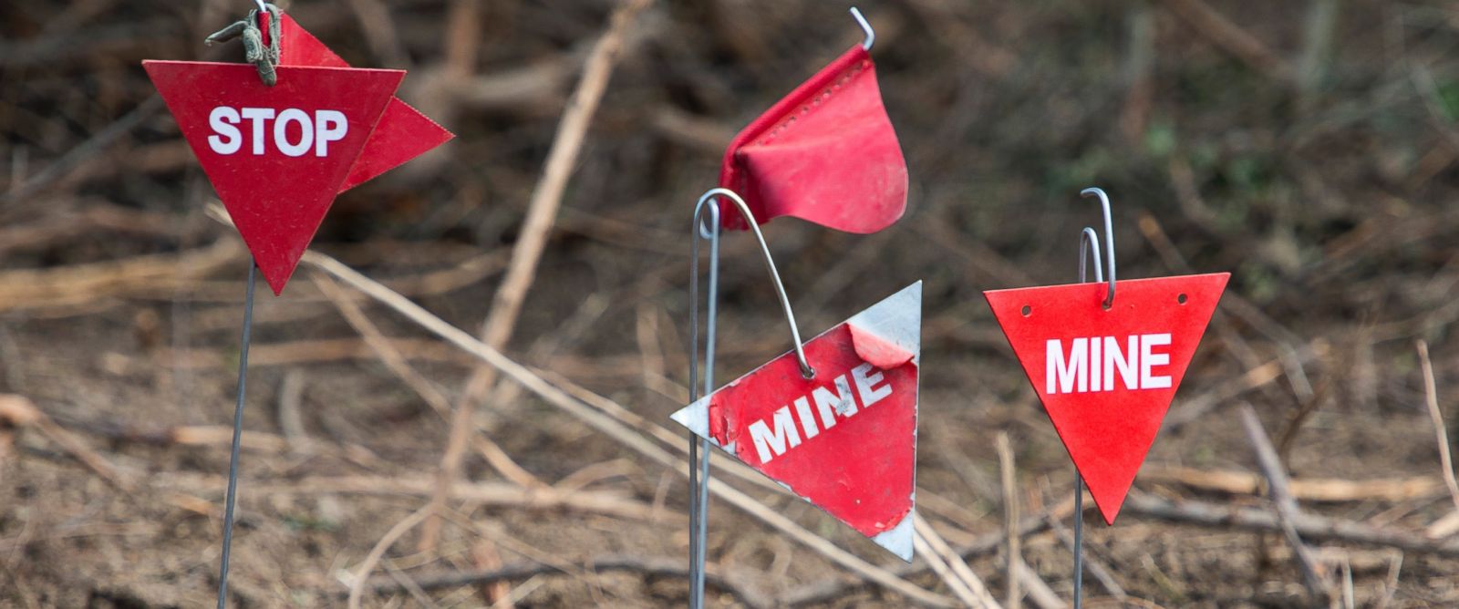 PHOTO: Landmines are found and marked in a minefield near Lasinja, Croatia, in this file photo, May 29, 2013. 