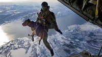 Special Forces? New Parachuting Recruit, a Dog!
Taking Man?s Best Friend to a New Level, 10,000 Feet Above