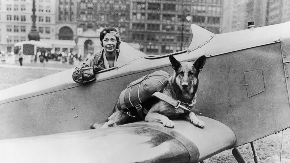 PHOTO: Parachutist dog seen here in this undated photo.