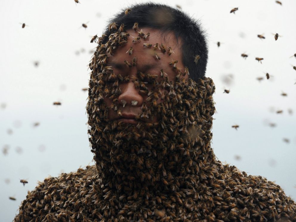 PHOTO: This picture taken on April 9, 2014 shows She Ping, a 34 year-old local beekeeper, covered with a swarm of bees on a small hill in southwest Chinas Chongqing.