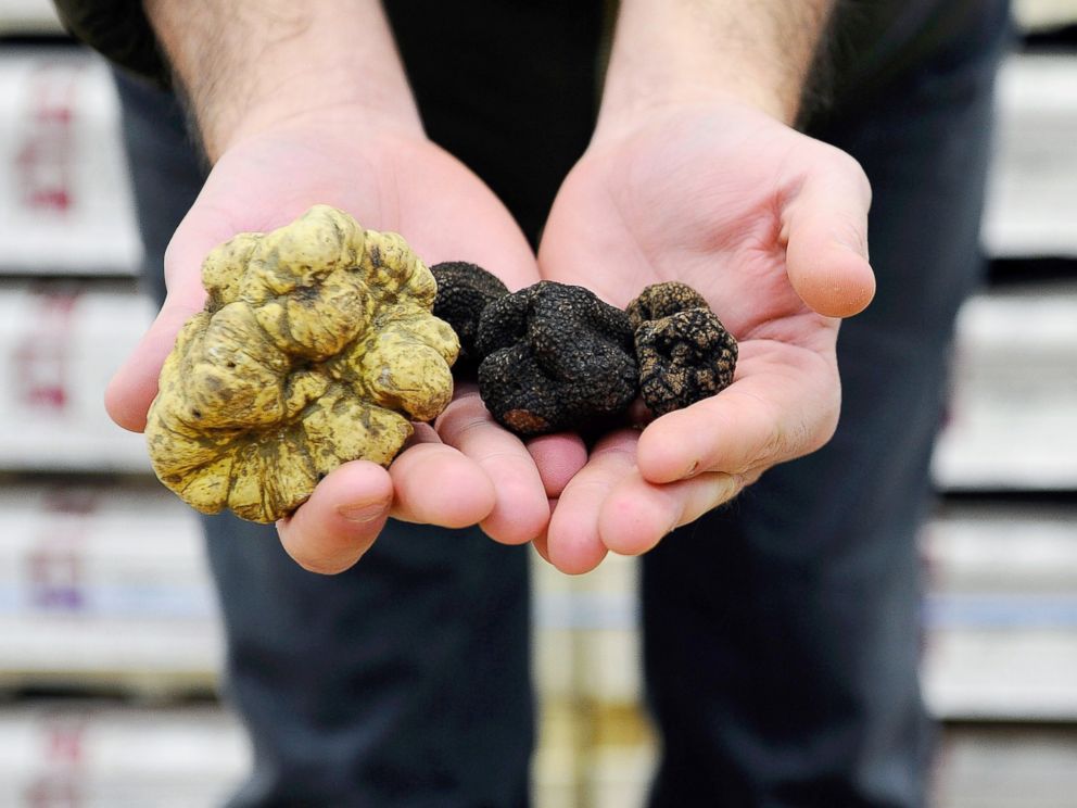 PHOTO: A greengrocer displays truffles in the Rungis market, Dec. 13, 2013 in Rungis, France.