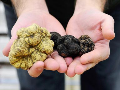 Australian Truffles Giving France a Run For Its Fungus