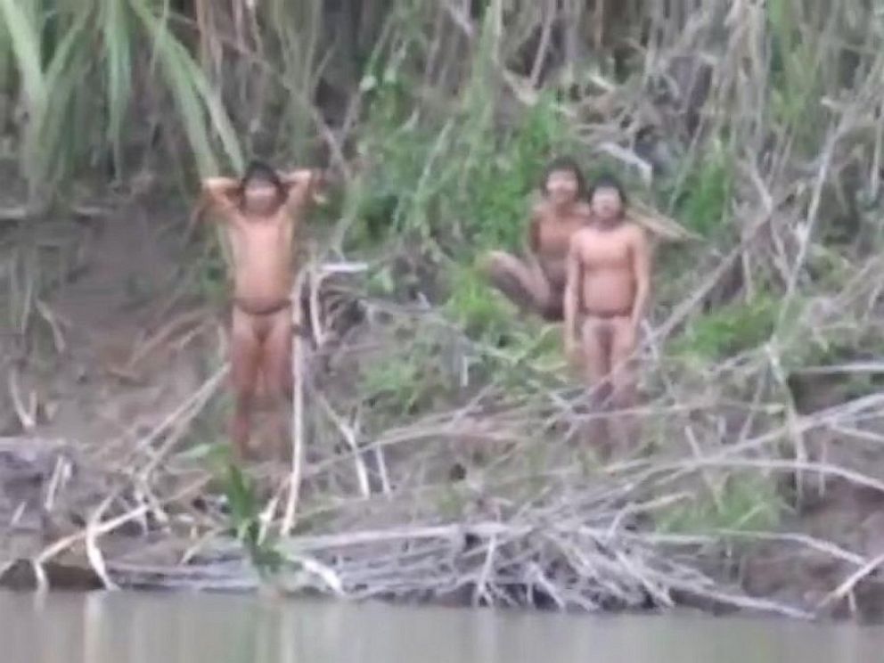 PHOTO: Members of the uncontacted tribe reached out because they were forced out of their home in the forests of Peru.
