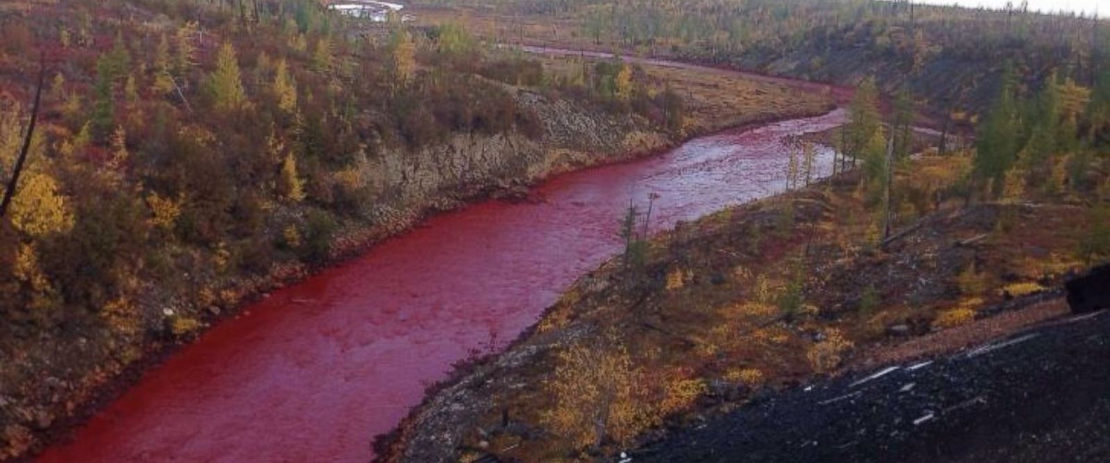 PHOTO: Photos posted by local residents on social media appear to show the Daldykan river close to Norilsk has turned blood red.