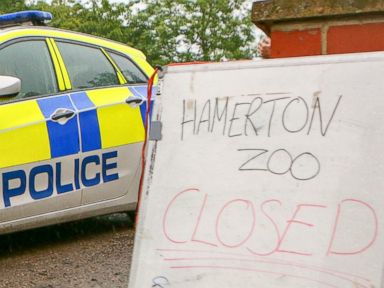 UK police: Tiger that killed zookeeper has not been killed