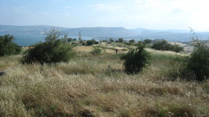 The Jesus Trail