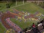 Smell the Tulip Dragon