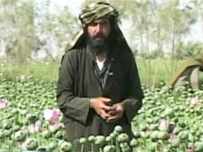 Picture of poppy farmer.