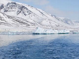 arctic