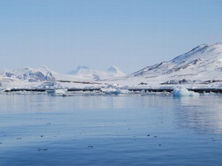 Arctic