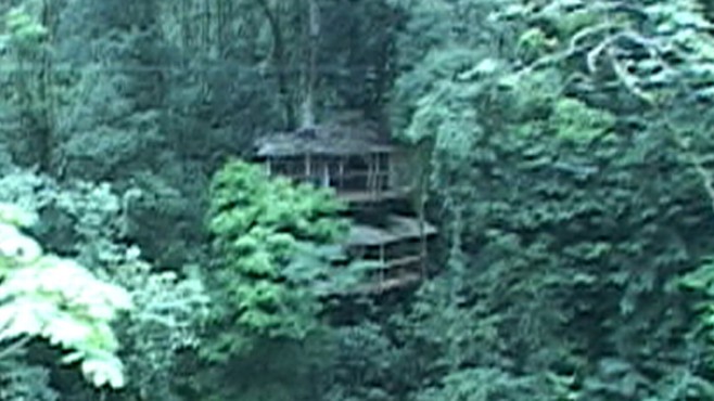 A Village in the Trees