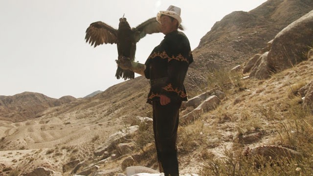 PHOTO: In the rugged mountains of Kyrgyzstan, golden eagles are not pets. They are hunting partners.